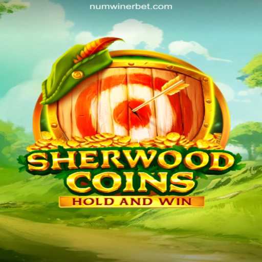 Exploring the World of SherwoodCoins: An In-Depth Look